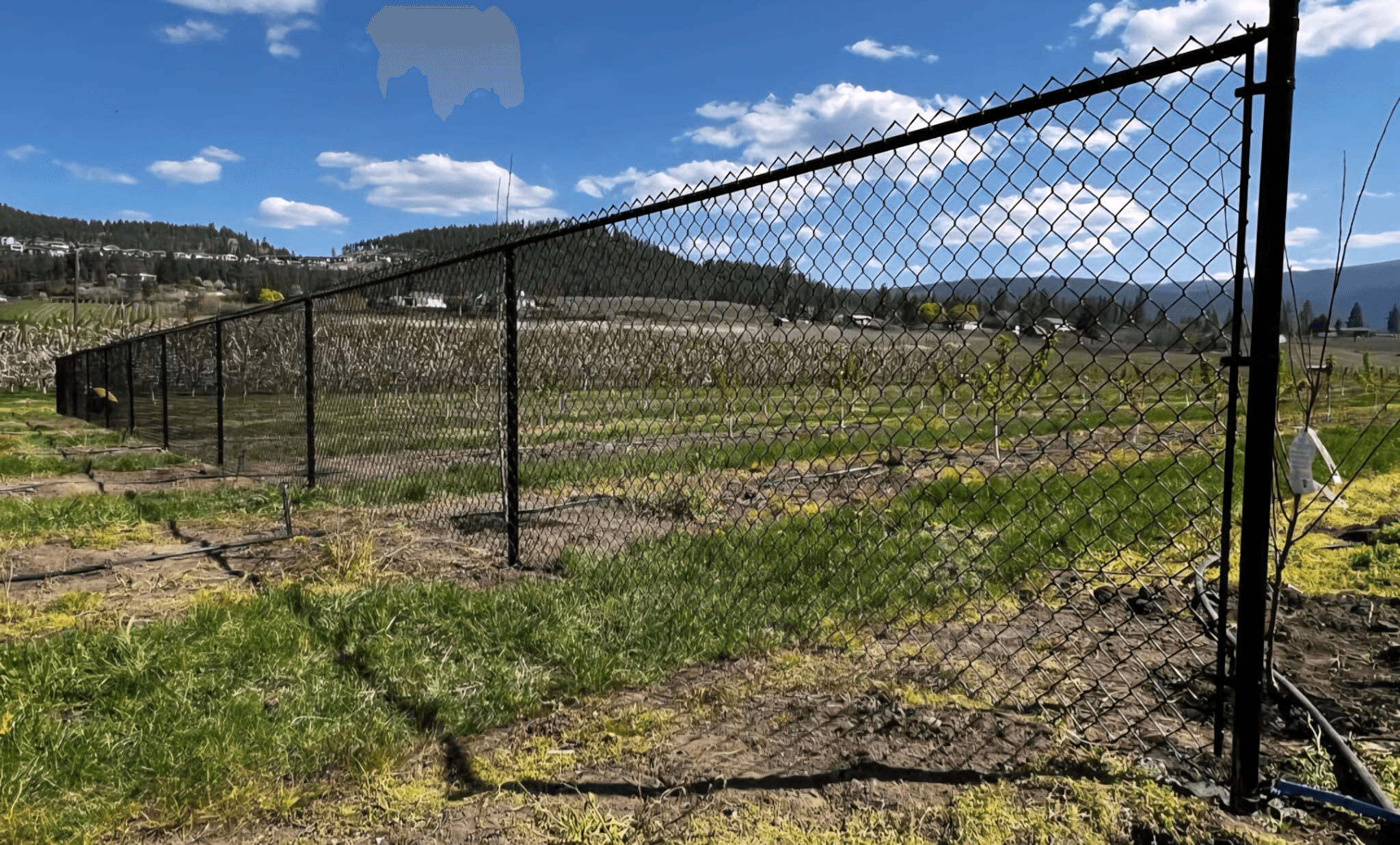 Chain Link Fences