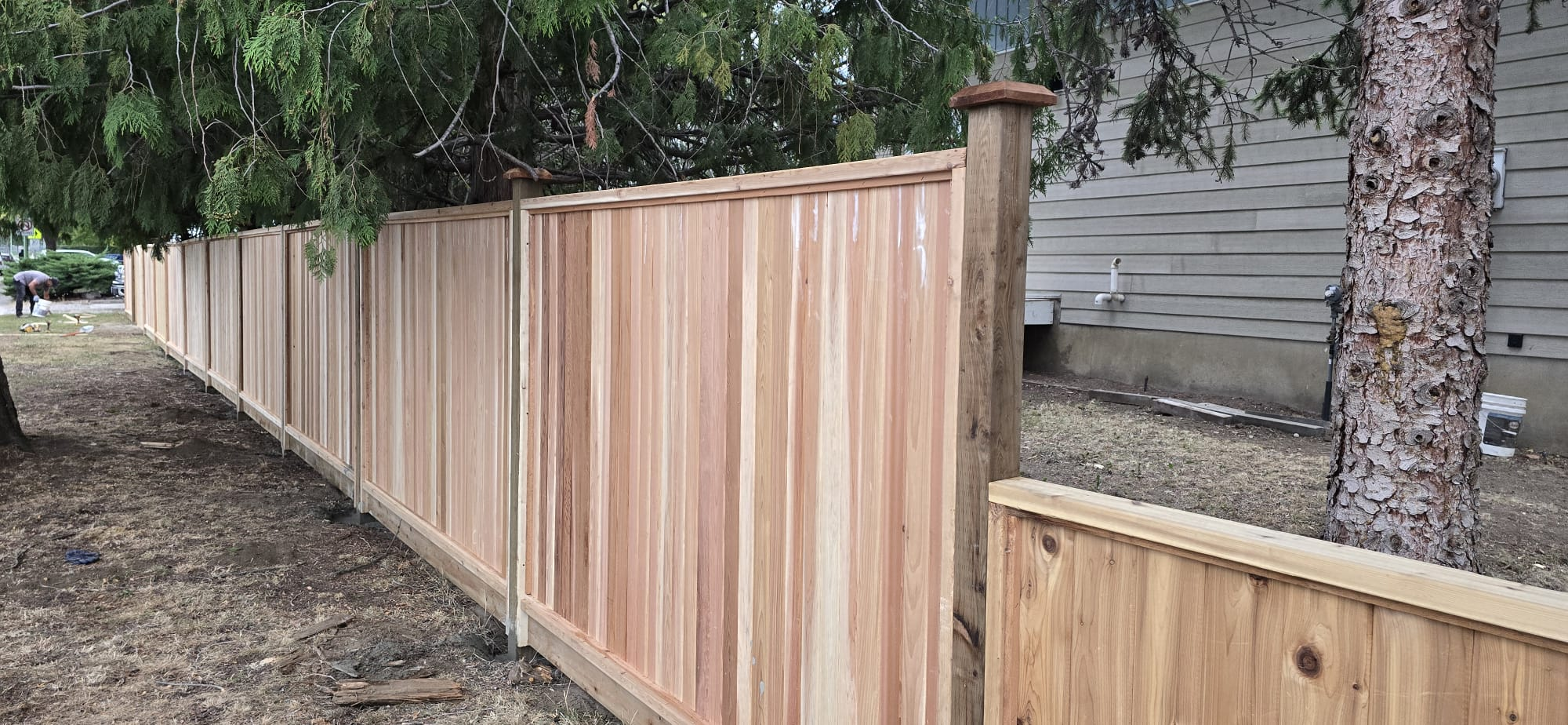 Cedar Privacy Fence