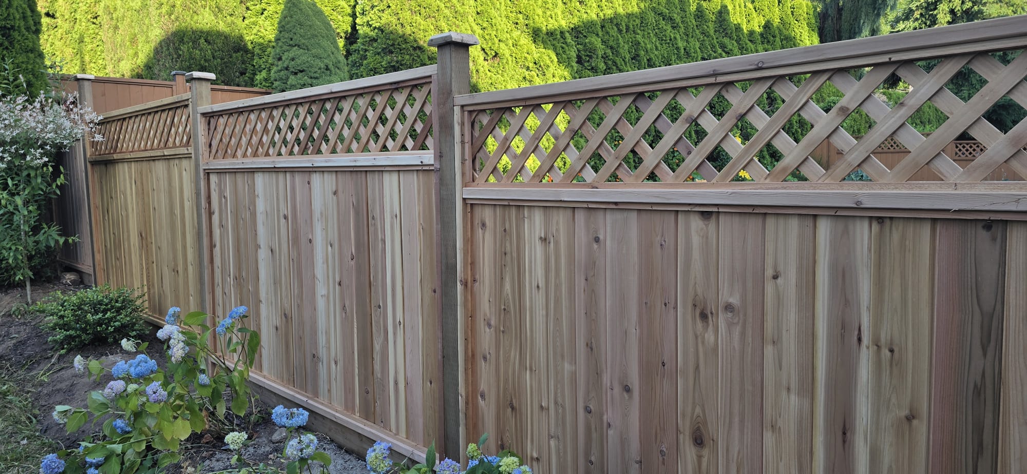 Custom Cedar Fence