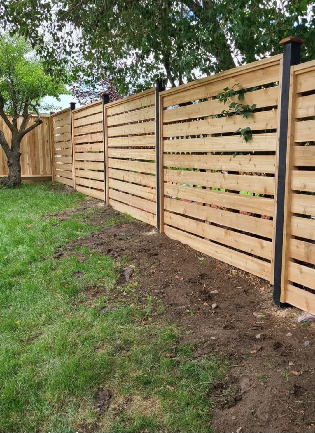 Custom Cedar Fence